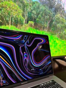 Is It Fine to Wipe My Laptops Screen With 91 Isopropyl Alcohol